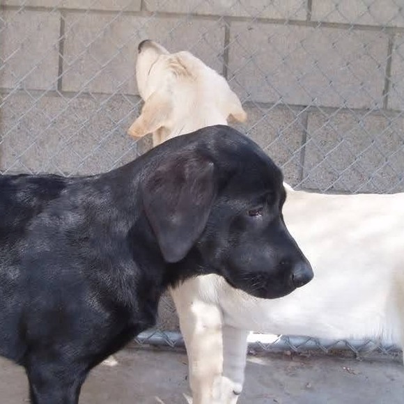 Meet your Posher, Christine - Picture 1 of 1